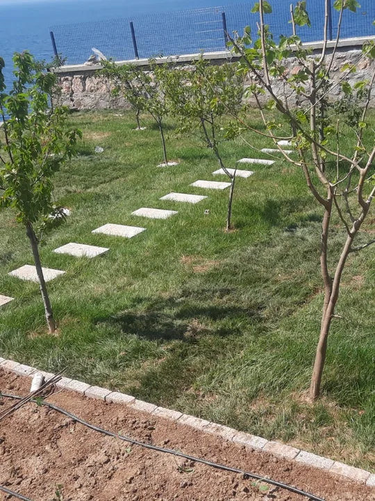 Balıkesir Peyzaj uygulamalarından bir çalışma